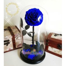 Everlasting Blue Rose Premium